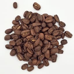 Cafea Origine Mexic - Chiapas MARAGOGYPE SUPERIOR - FINCA LIQUIDAMBAR (spread)